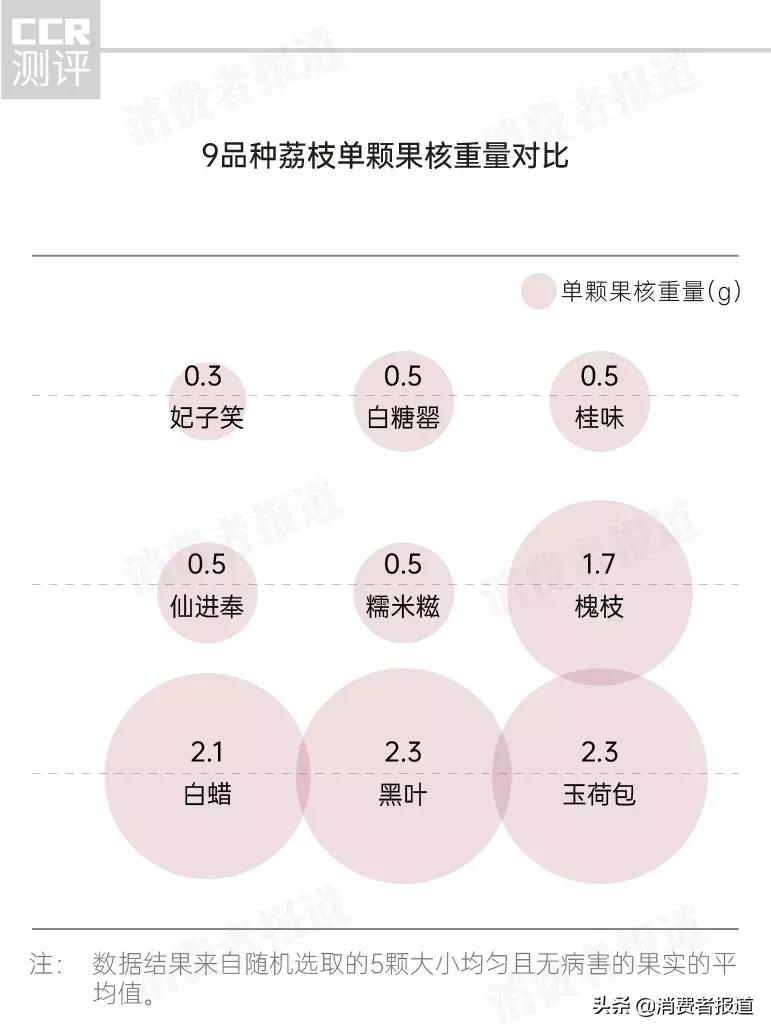 9款荔枝对比测评：玉荷包、黑叶果核大；仙进奉、白糖罂受欢迎