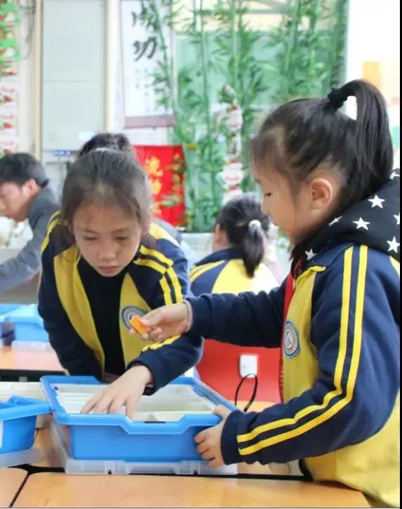 太难得！深圳这所学校今年全市招生，60个学位已开启申请