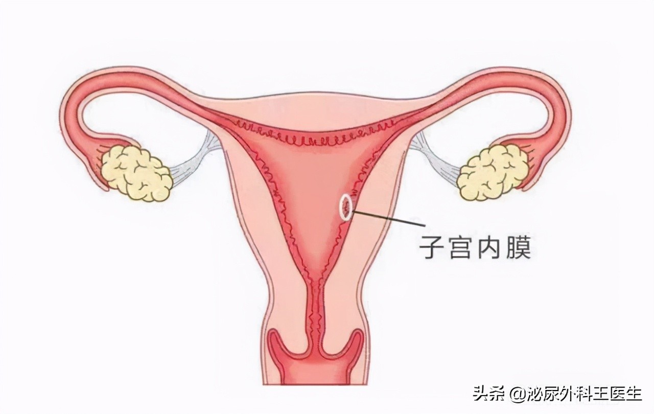 女性打过胎,会留下什么痕迹吗?医生表明:这些方面可能瞒不住