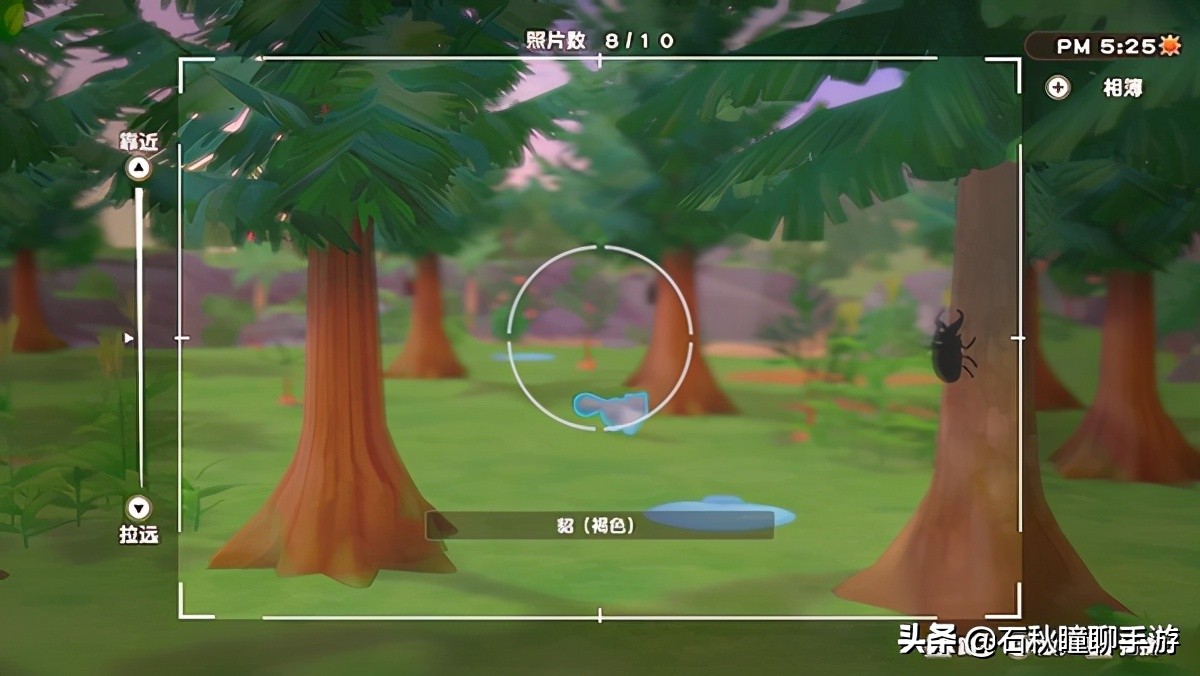 《牧场物语 橄榄镇与希望的大地》第一年夏攻略：印钞机启动