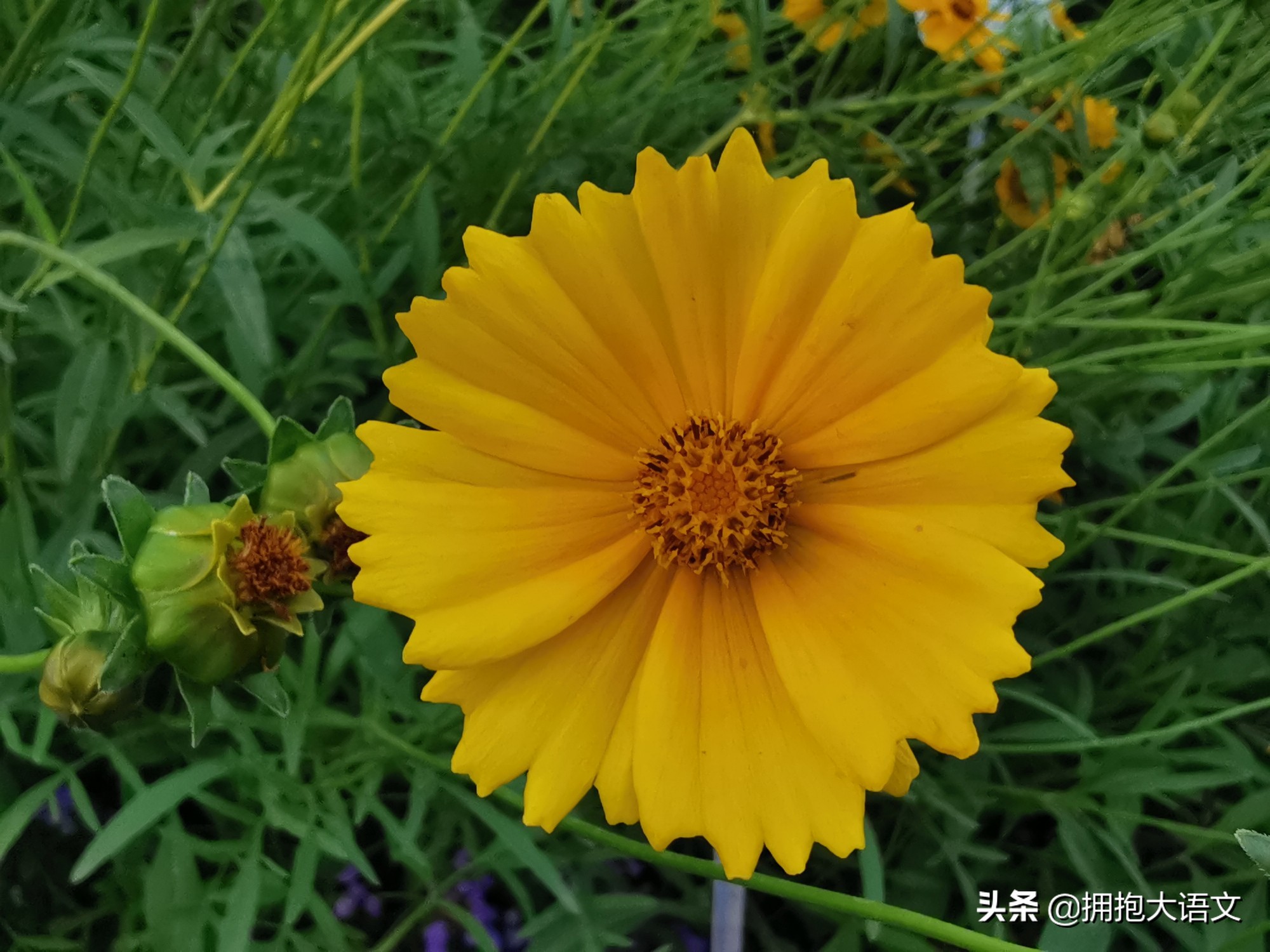 2021高考北京卷作文：生逢其时大有可为，第二种对比才是重点所在