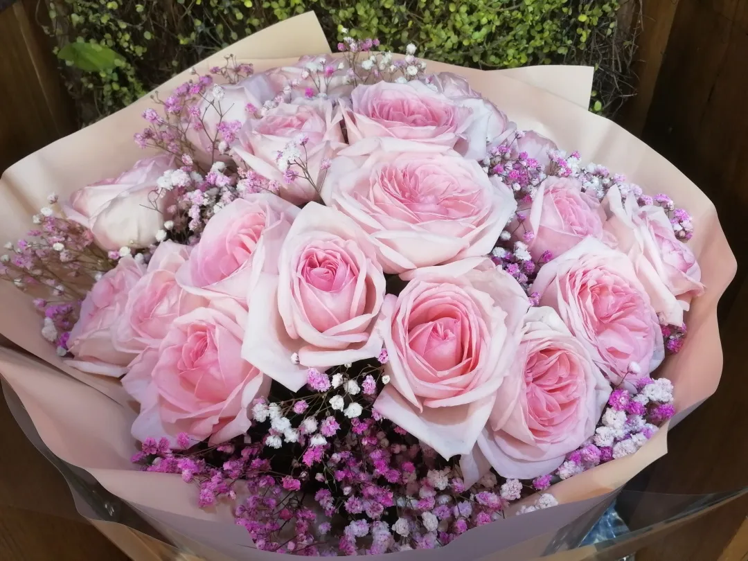 荔枝玫瑰花语是什么意思(100种玫瑰之11荔枝玫瑰)
