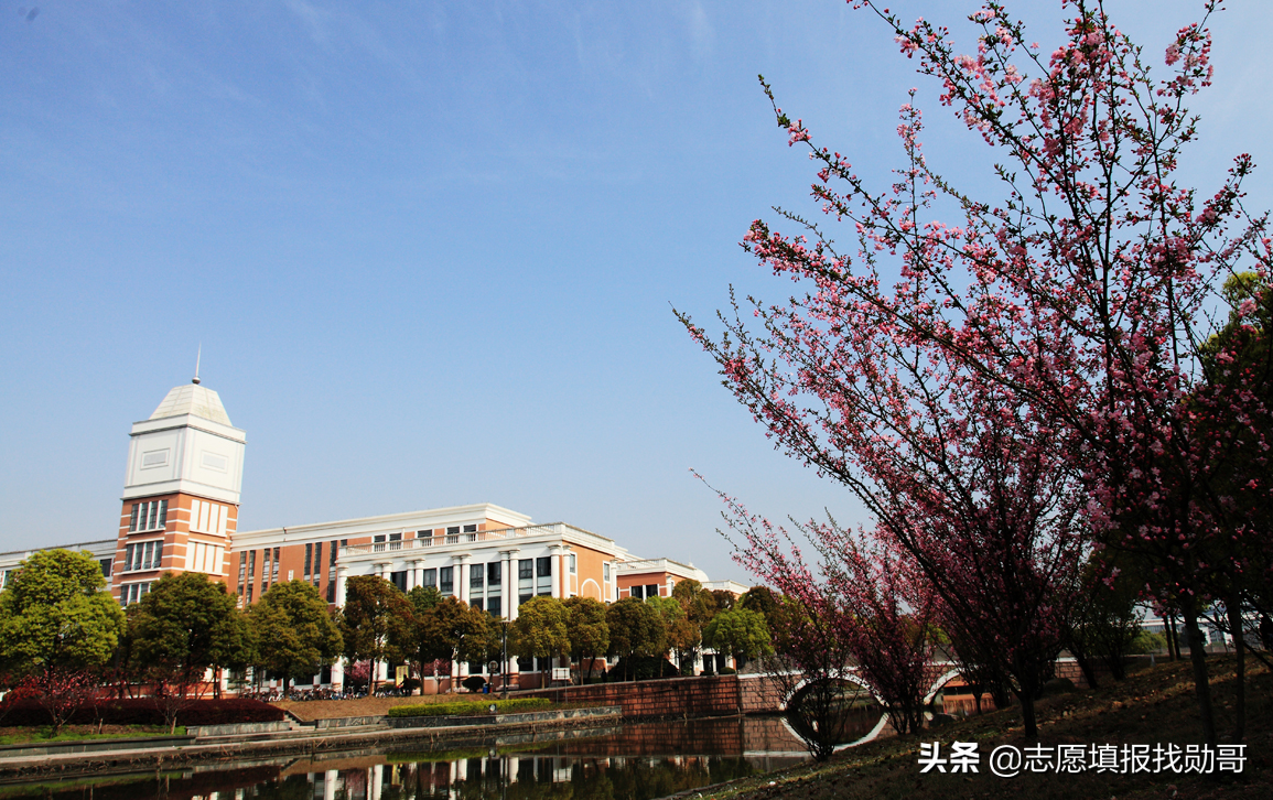 全国二本大学排名（国内最好的）