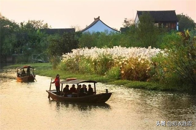 秋日美诗，最爱芦花经雨后，一蓬烟火泛渔船