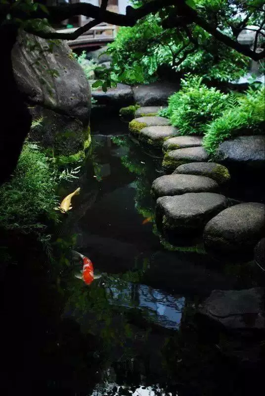 余生，想要一个院子，看花开花落