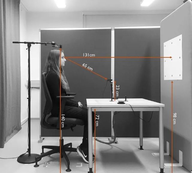 眼动论文精选｜2021年3月第5期：心理学、认知神经科学等