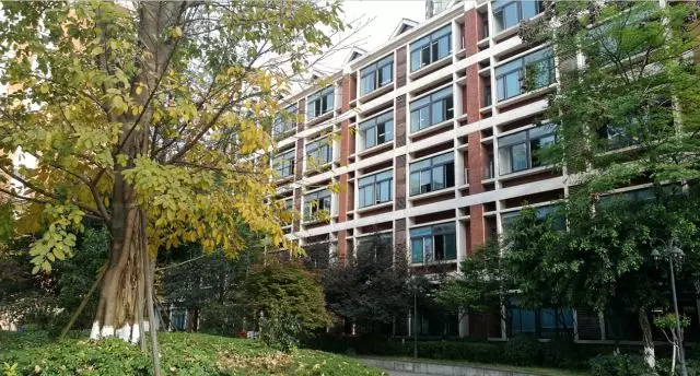 重庆名校一览 | 江北优质初中徐悲鸿中学校