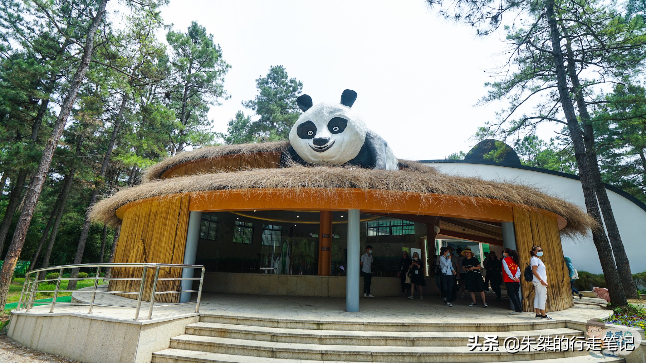 熊猫基地在哪里（全国首个大熊猫落户的县级基地）