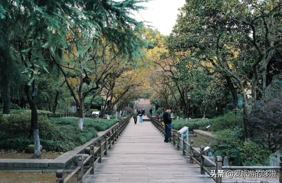 6块钱,包船游西湖