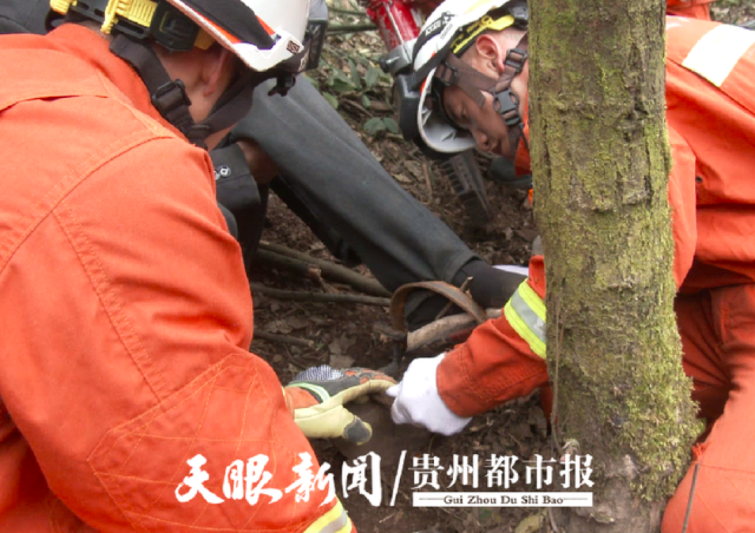 一个小水坑的罗曼蒂克消亡史