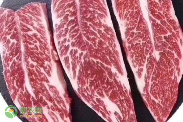 今日牛肉价格多少钱一斤？（附2020最新牛肉价格行情走势）