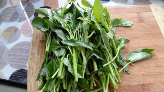 空心菜叶子能吃吗（揭秘空心菜不吃叶子的原因）