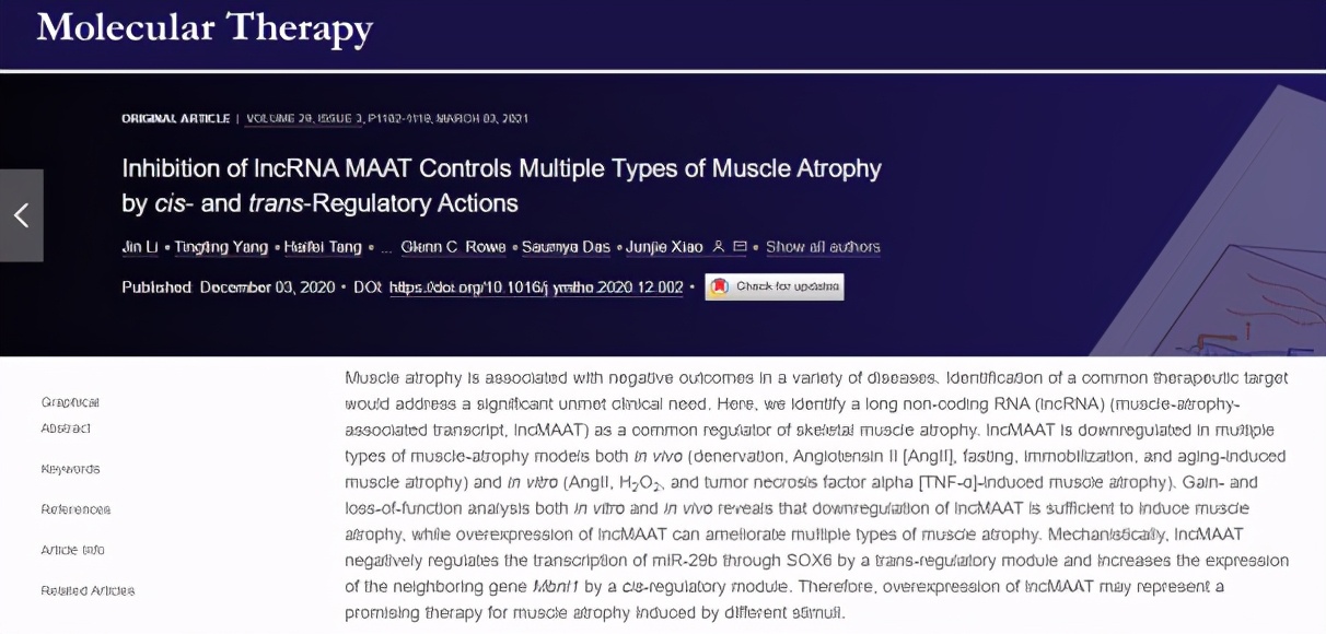 上海大学13项最新科研成果引起国际关注！