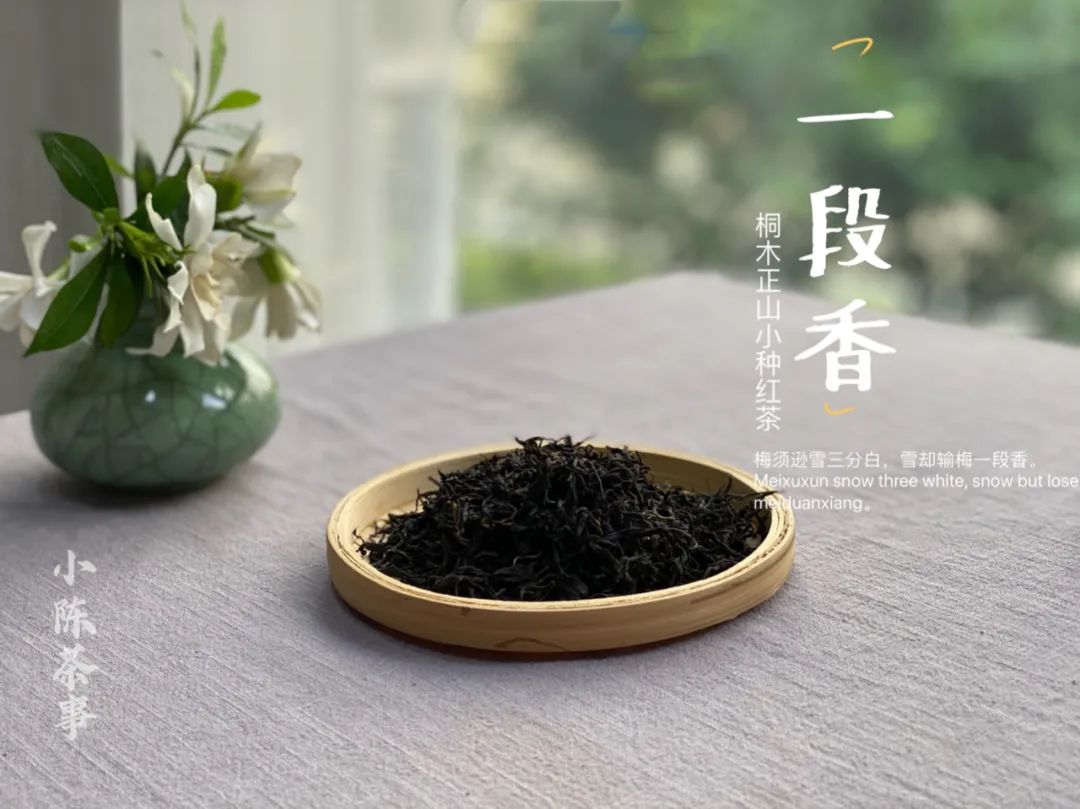 在“一段香”里，感受桐木正山小种红茶的细幽花果之韵，蜜韵悠长