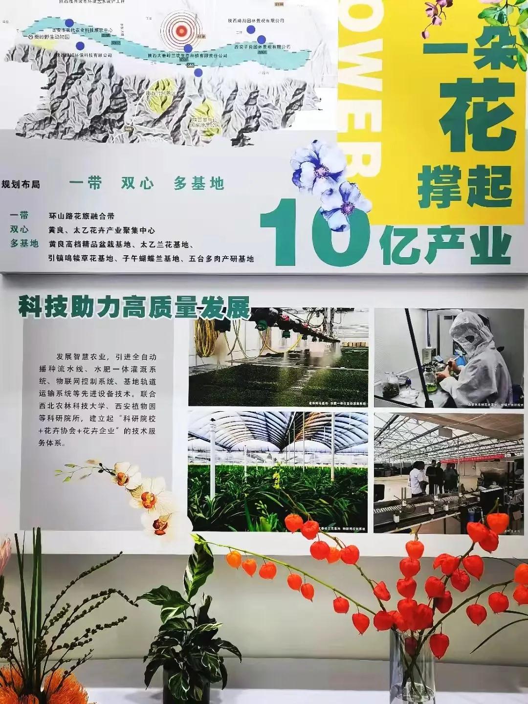 创意美农，乡村美学的无限可能——第28届中国杨凌农高会媒体观察