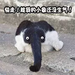 号称“不赚差价”的二手车平台,水深得能养巨齿鲨了