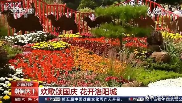 2021年国庆热门旅游目的地，洛阳排进前20，回顾下洛阳火热的场面