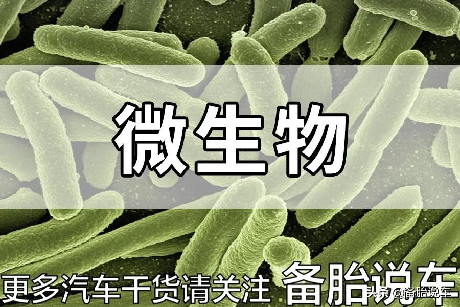 500元洗一次?4S店推荐的空调清洗有必要吗?