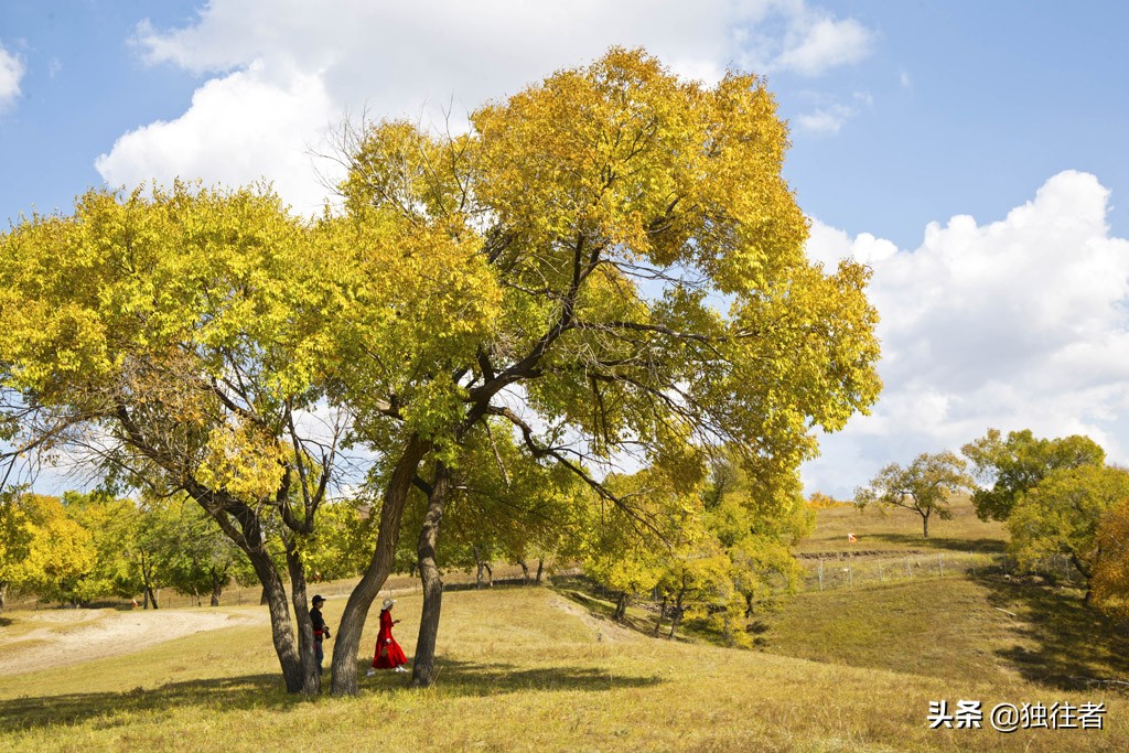 中秋佳节去哪里，赏秋胜地，浓墨重彩的乌兰布统秋景