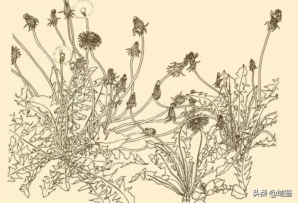 欣赏国画有门槛？这些必懂的“术语”你知道多少？