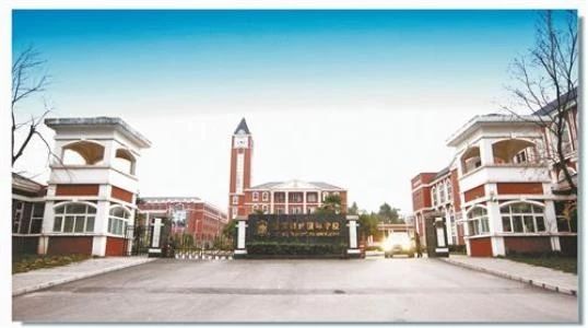 万万没想到！一年学费20万，在重庆上个小学也太贵了吧