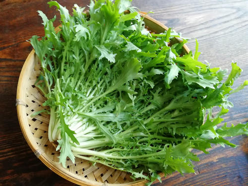 苦菊怎么凉拌，夏季必备的凉拌菜，清口开胃，简单又好吃