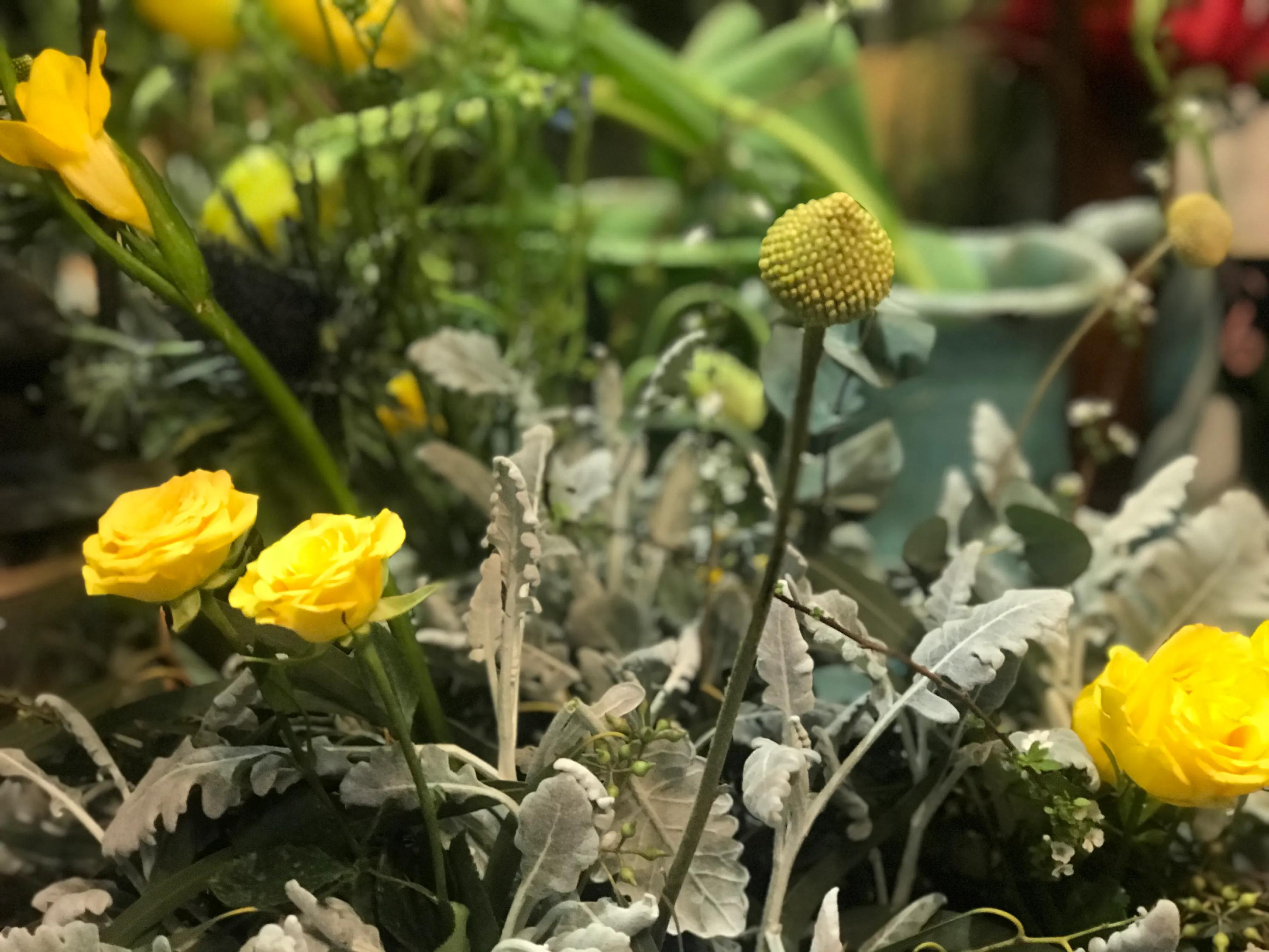 杭州这三家高颜值花园餐厅，你去过几家？