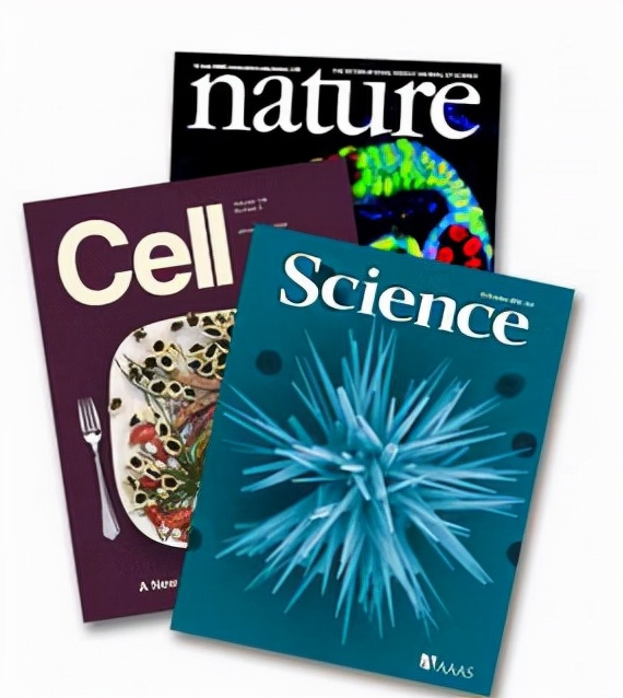 张杰任211大学老师被质疑，看了他的学历和专业，仍觉得不合理