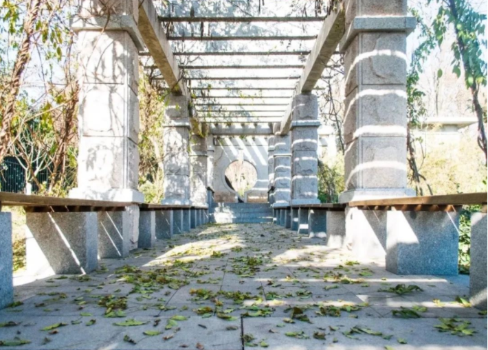 央视频频聚焦！占地2655亩，这所建在海边的山东高校，已跻身全国百强！