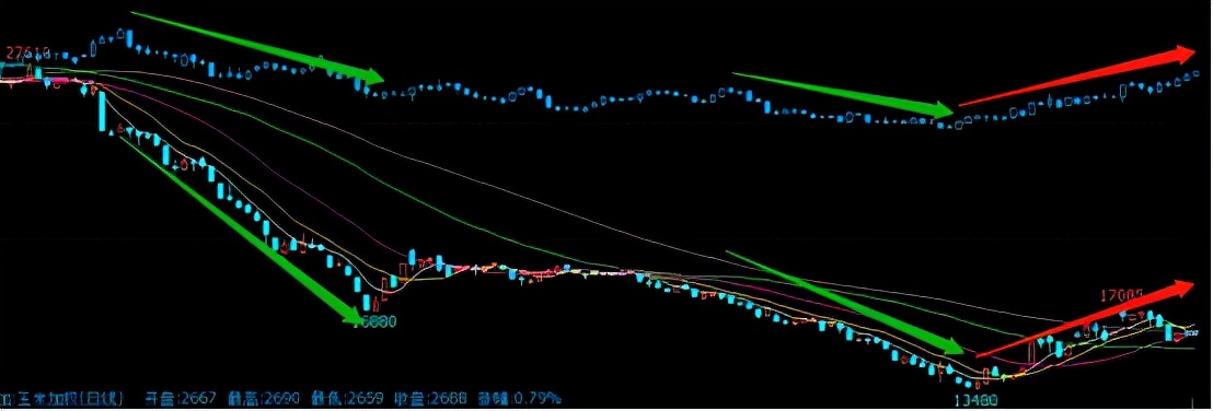 随猪起舞，玉米的天花板有多高？