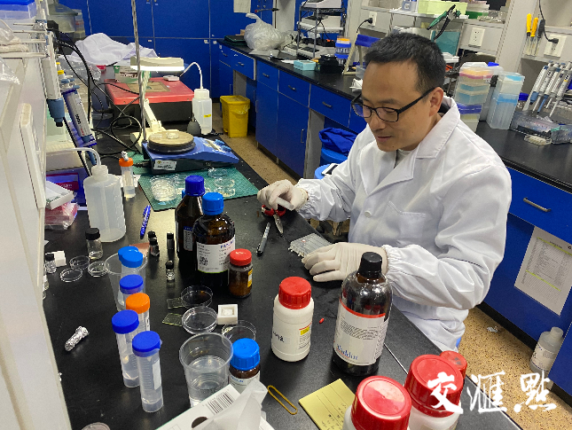 全力瞄准“芯片之城”！投资220亿元，南京与这所名校联合出击！