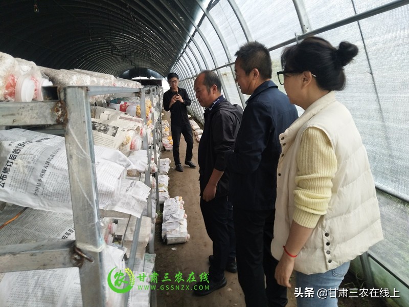 省農(nóng)業(yè)生態(tài)總站調(diào)研督導定西市農(nóng)業(yè)生態(tài)與資源保護工作
