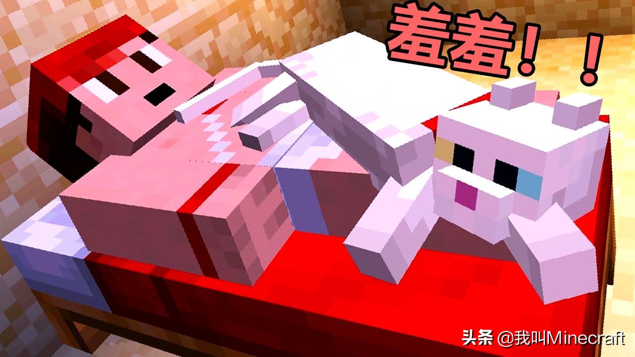 如何在《我的世界》里做一名合格的“铲屎官”？MC猫咪全攻略！