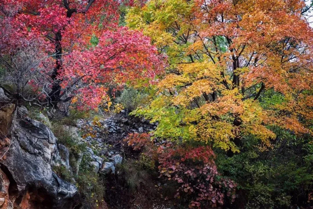 国内最值得一去的10个小众旅行地，悠闲地呆上几天，静享美好