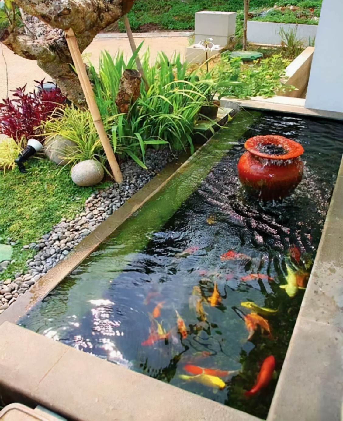 农村家庭鱼池设计图图片