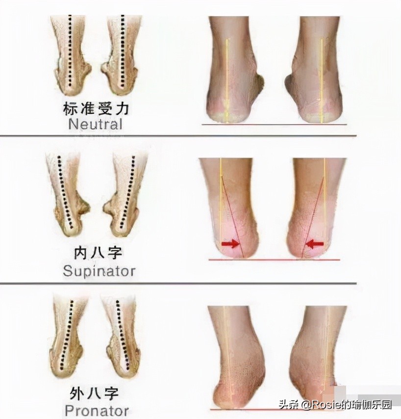 《斛珠夫人》的惊喜是她？每天3步简单练，解锁董璇同款长直美腿