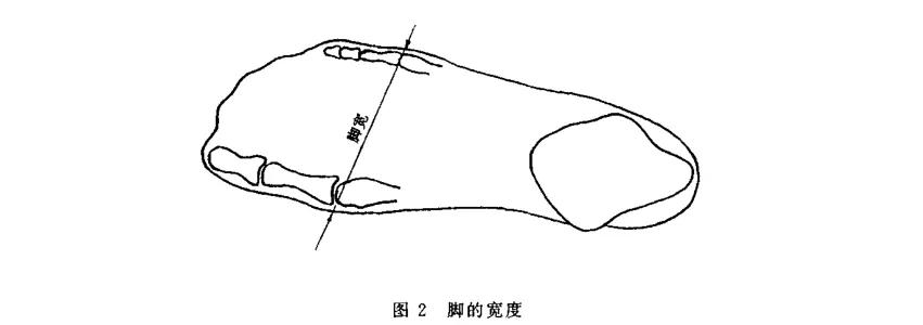 中国鞋码对照表图（如何挑选一双合脚的鞋子）(6)