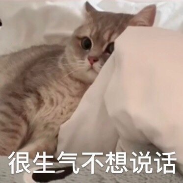 猫生气了表情