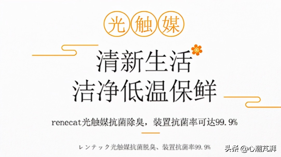 系统分析冰箱德系日系区别，附上11款神机作业给你学