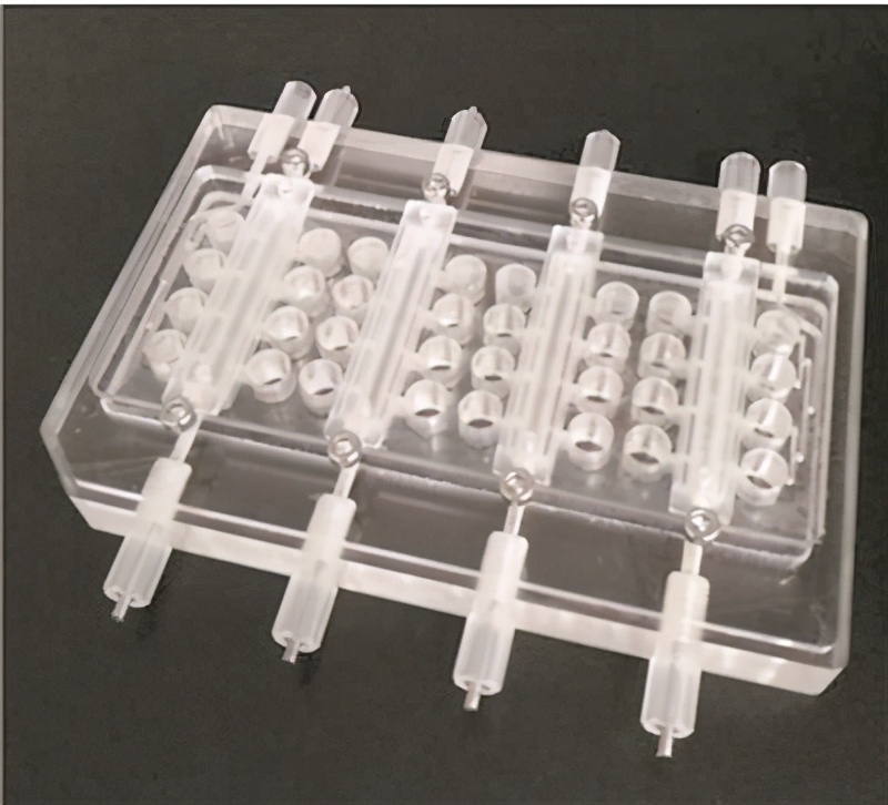 全力瞄准“芯片之城”！投资220亿元，南京与这所名校联合出击！