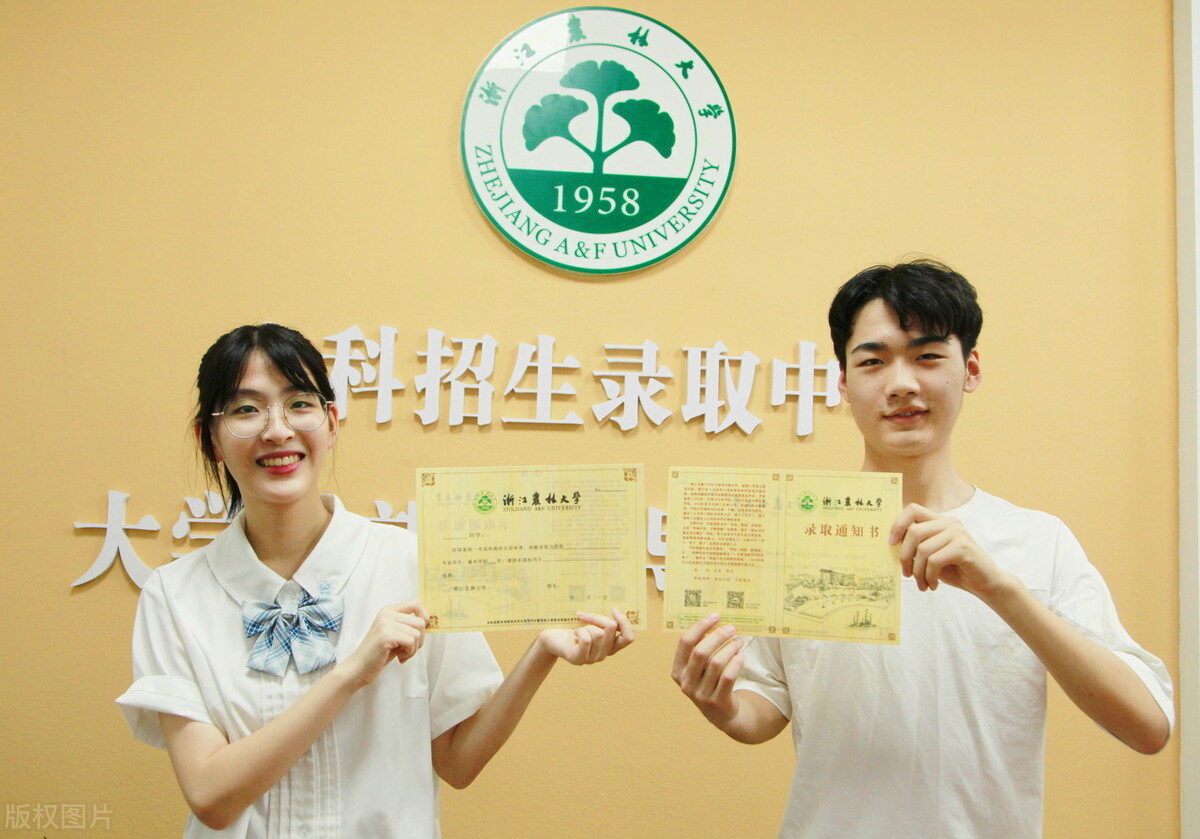 这下把传统志愿和平行志愿说清楚了，艺考生填报志愿原来这么简单