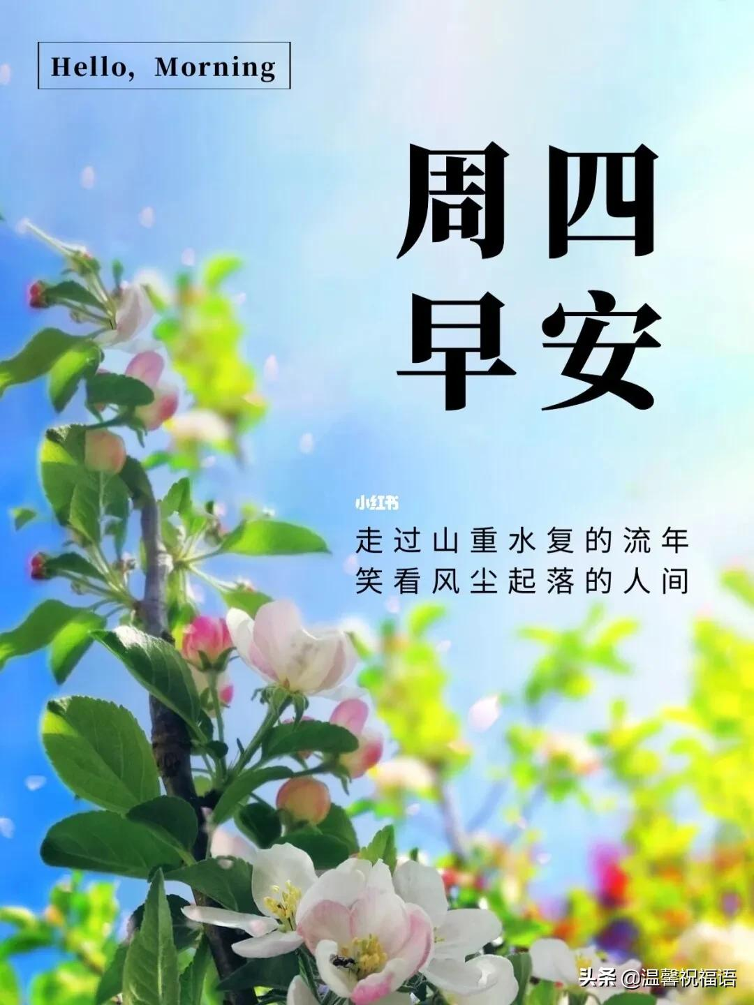 11月11日光棍节早安每天祝