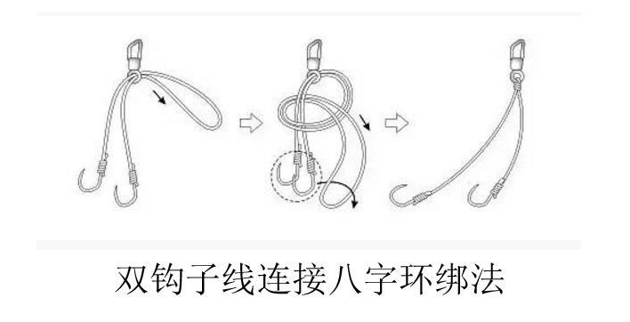 子线的绑法是十分重要的,下面给大家分享双钩子线与主线的绑法图解