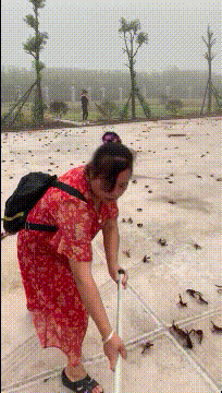 妹子在车上做出不雅行为，我该怎么去制止她