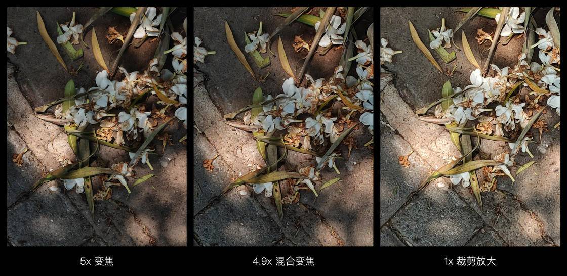 oppo手机十倍变焦手机（Reno10倍变焦版评测）
