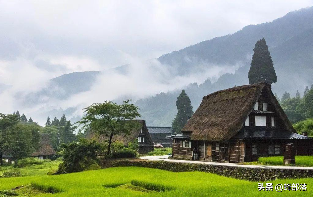 这种农村常见的小虫子，有着“狮”之名，1斤超过3000元