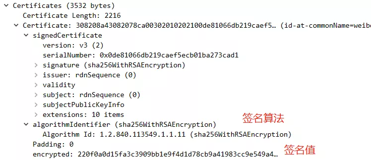 今天我抓了个 HTTPS 的包