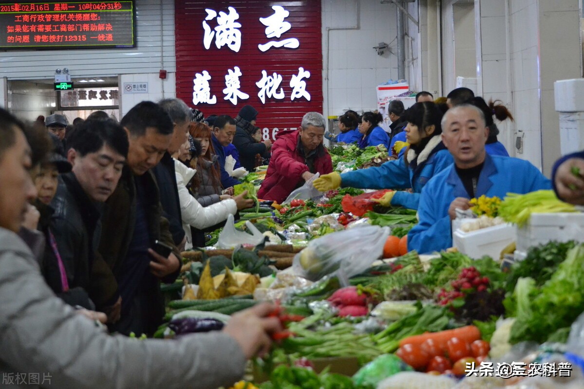 化肥企利润激增！煤炭涨至2200元/吨，菜比猪肉贵，啥情况