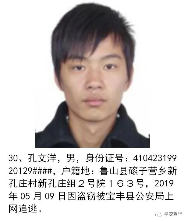 网上逃犯,网上逃犯名单查询系统