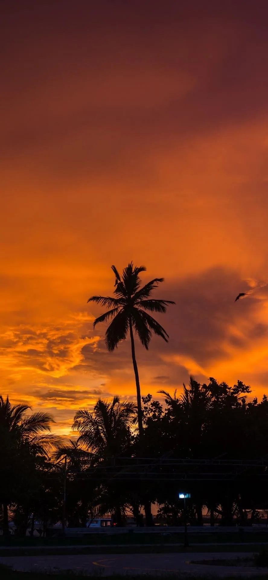 关于捯饬自己的说说配图「霸气」 _qq说说网